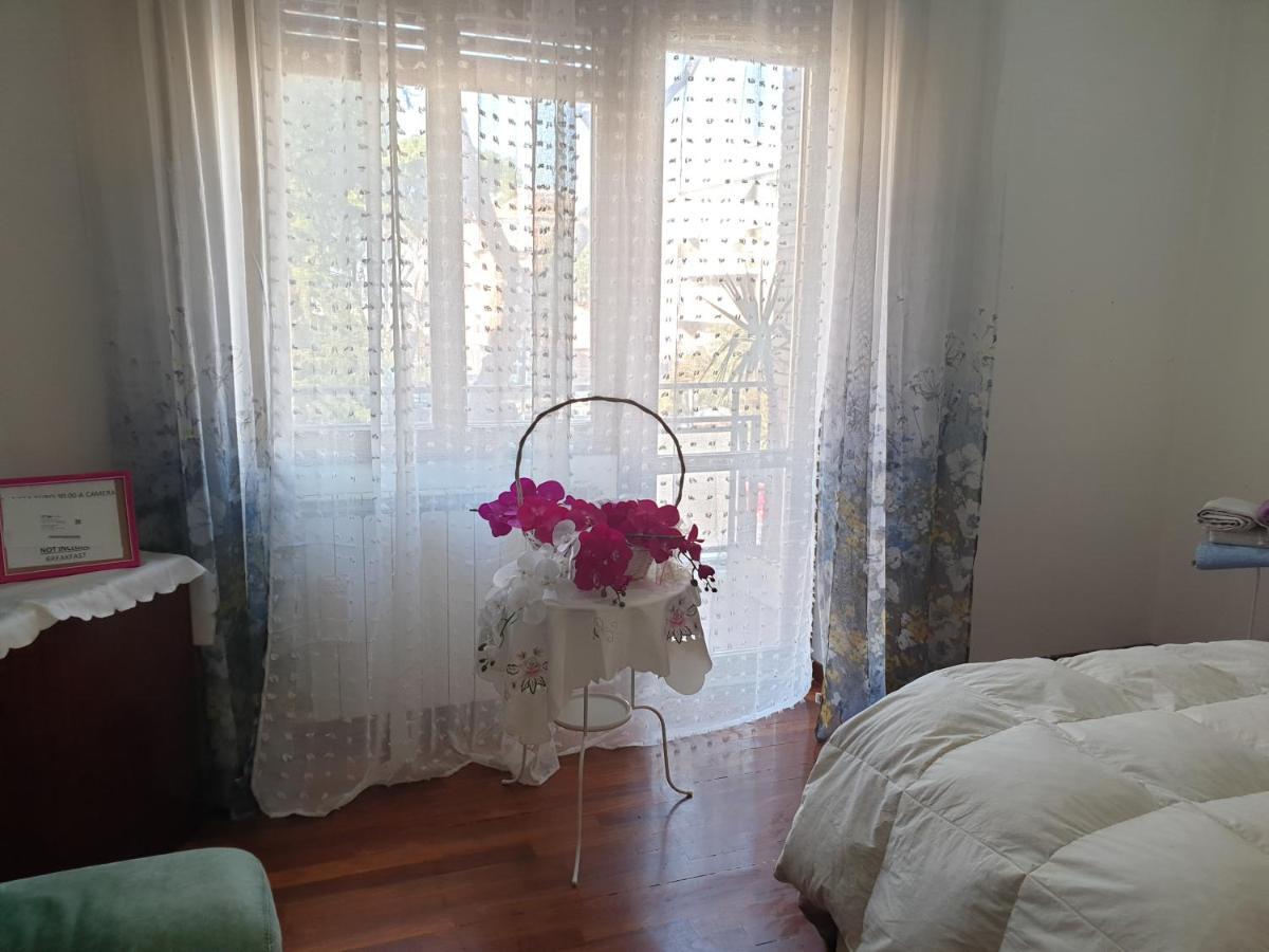 B&B Mary'S House Ciampino Exterior foto