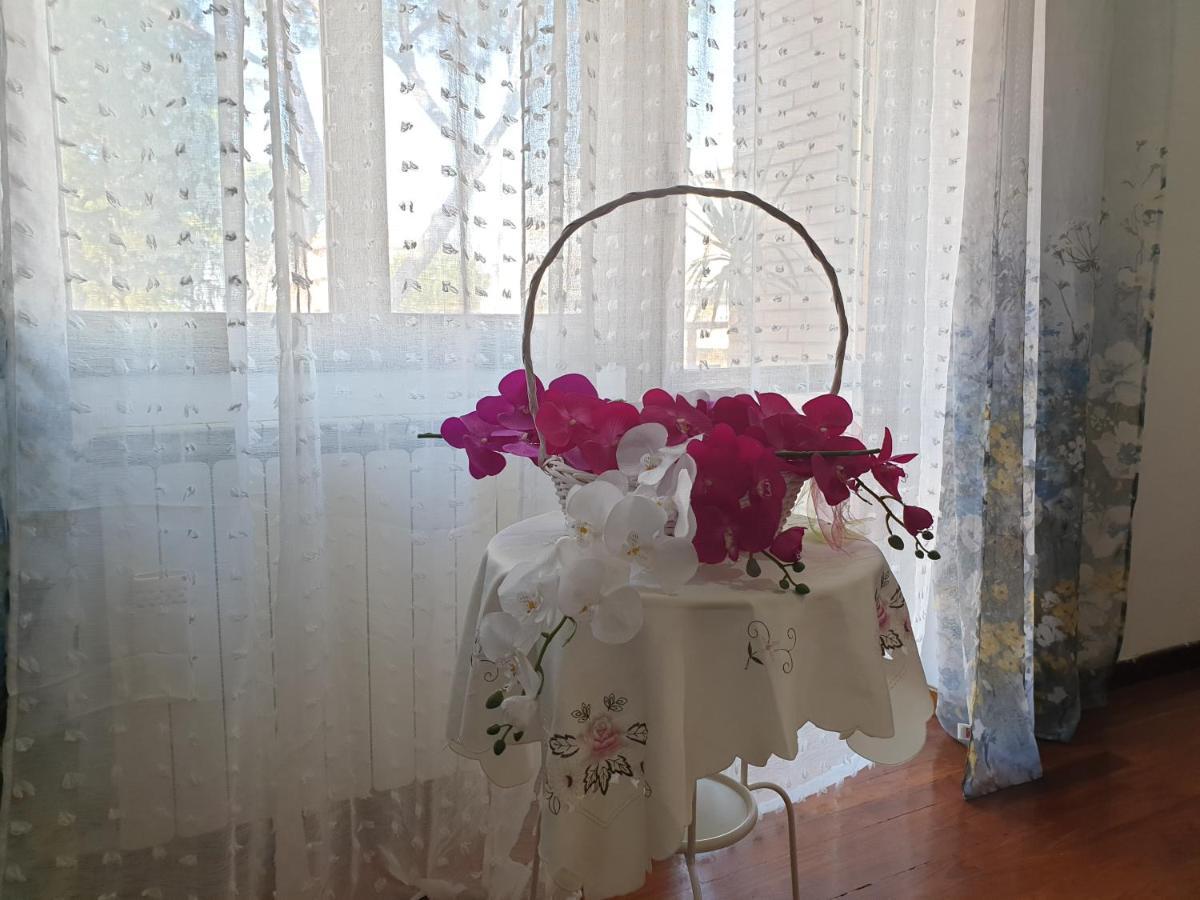 B&B Mary'S House Ciampino Exterior foto
